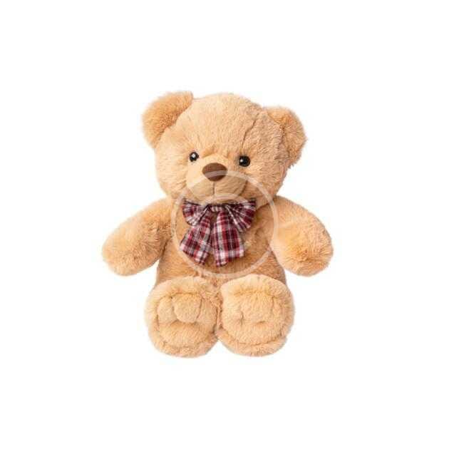 Teddy Bear Toy